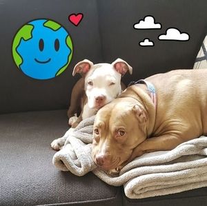 Meet your Posher, Adam